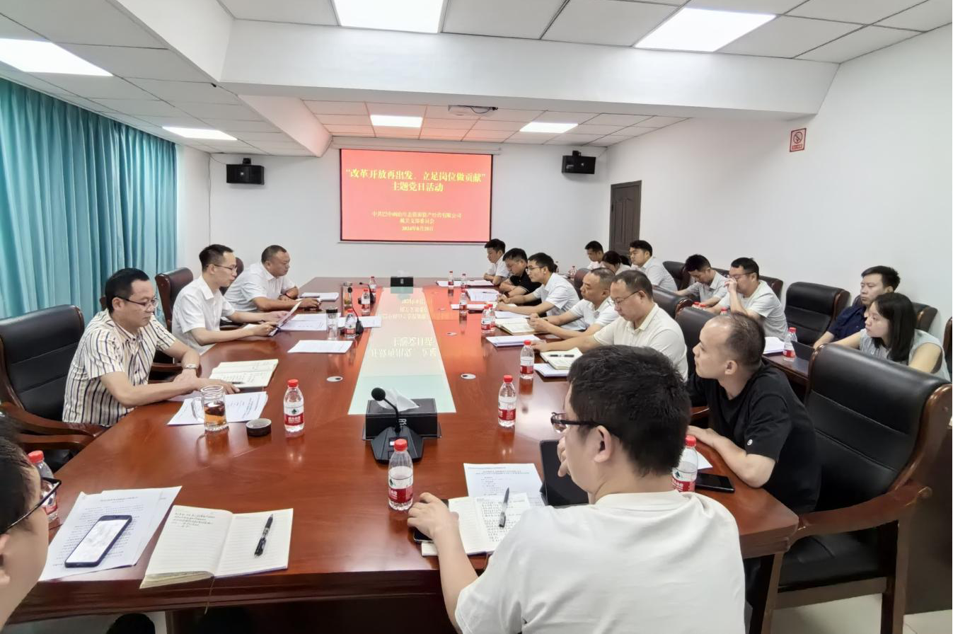 巴中兩山公司開展“改革開放再出發(fā)、立足崗位做貢獻(xiàn)”主題黨日活動